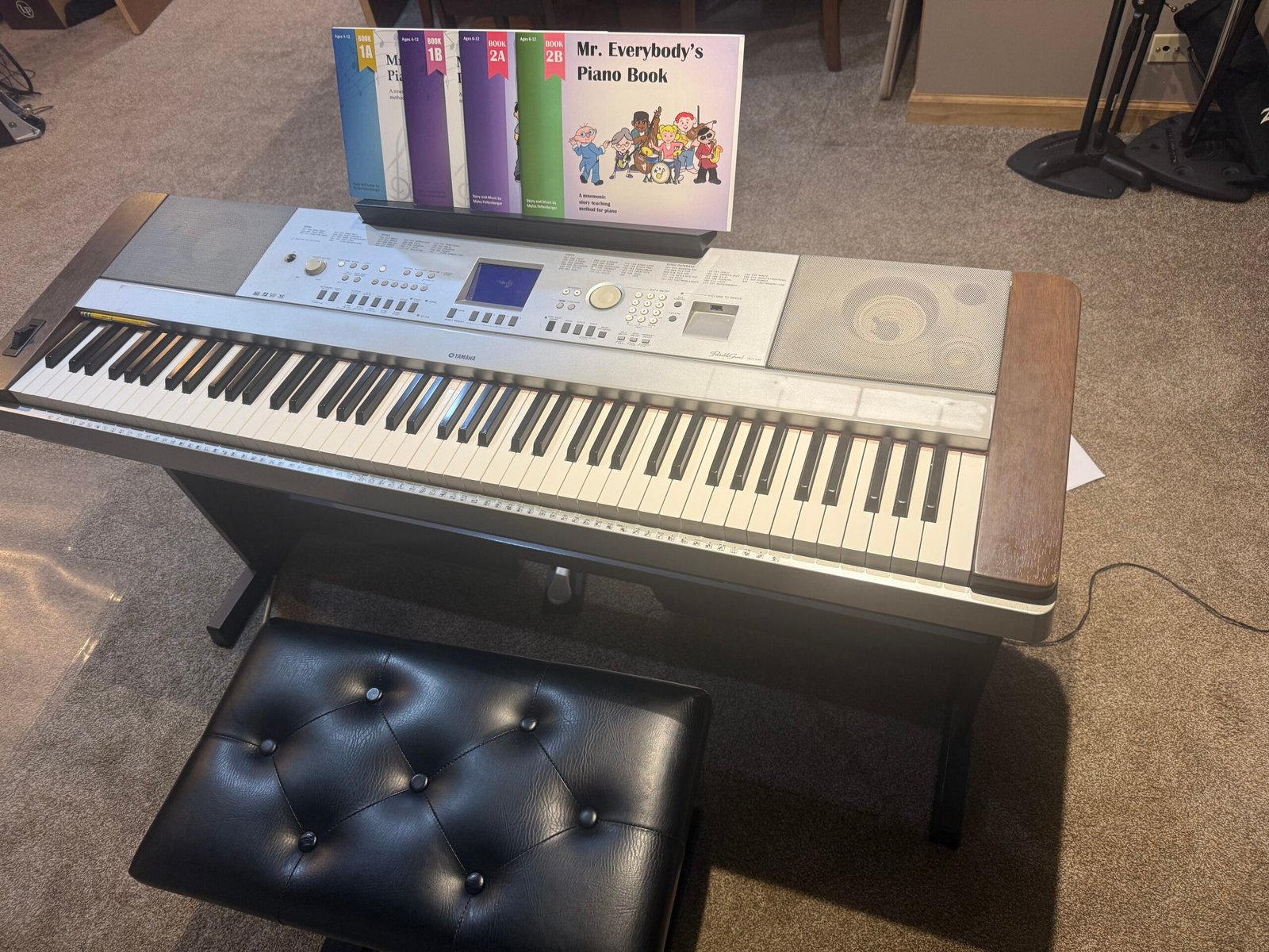 Digit Piano and Mr Everybody books.